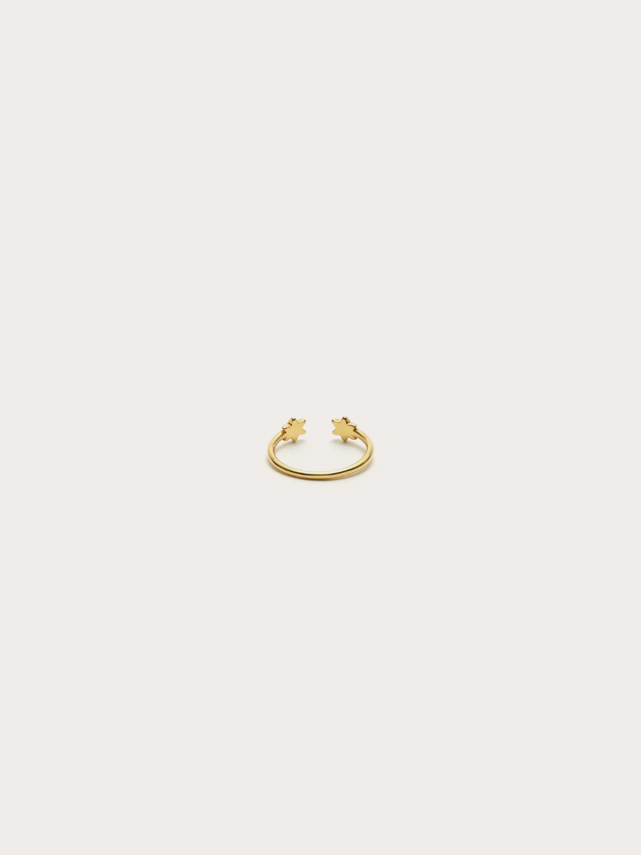 ( pre order )Petit hexagram pinky ring