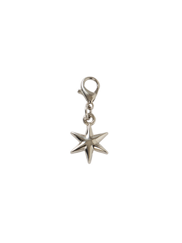 Favorite choice charm (hexagram)