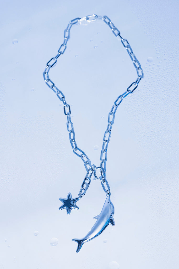 Dolphin special necklace