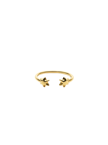 ( pre order )Petit hexagram pinky ring