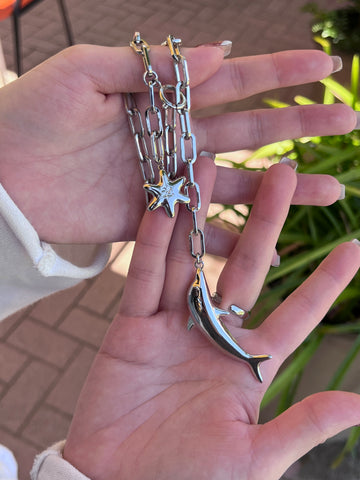 ( limited ) Dolphin special necklace