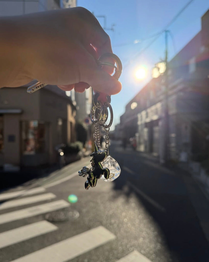 NEMO key charm