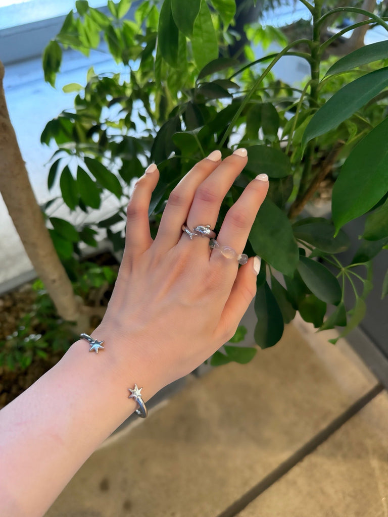 Dolphin ring (2)