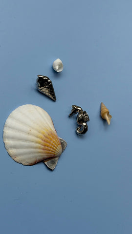 Sea treasures sea horse badge